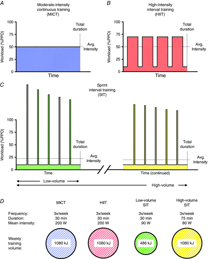 Interval training research paper